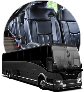 Limo Buses & Coaches