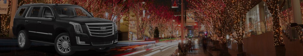 The ultimate tacky light tour in Atlanta, GA.