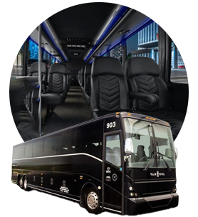 Limo Buses & Coaches