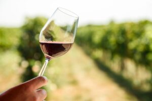 Discover what is a winery tour.